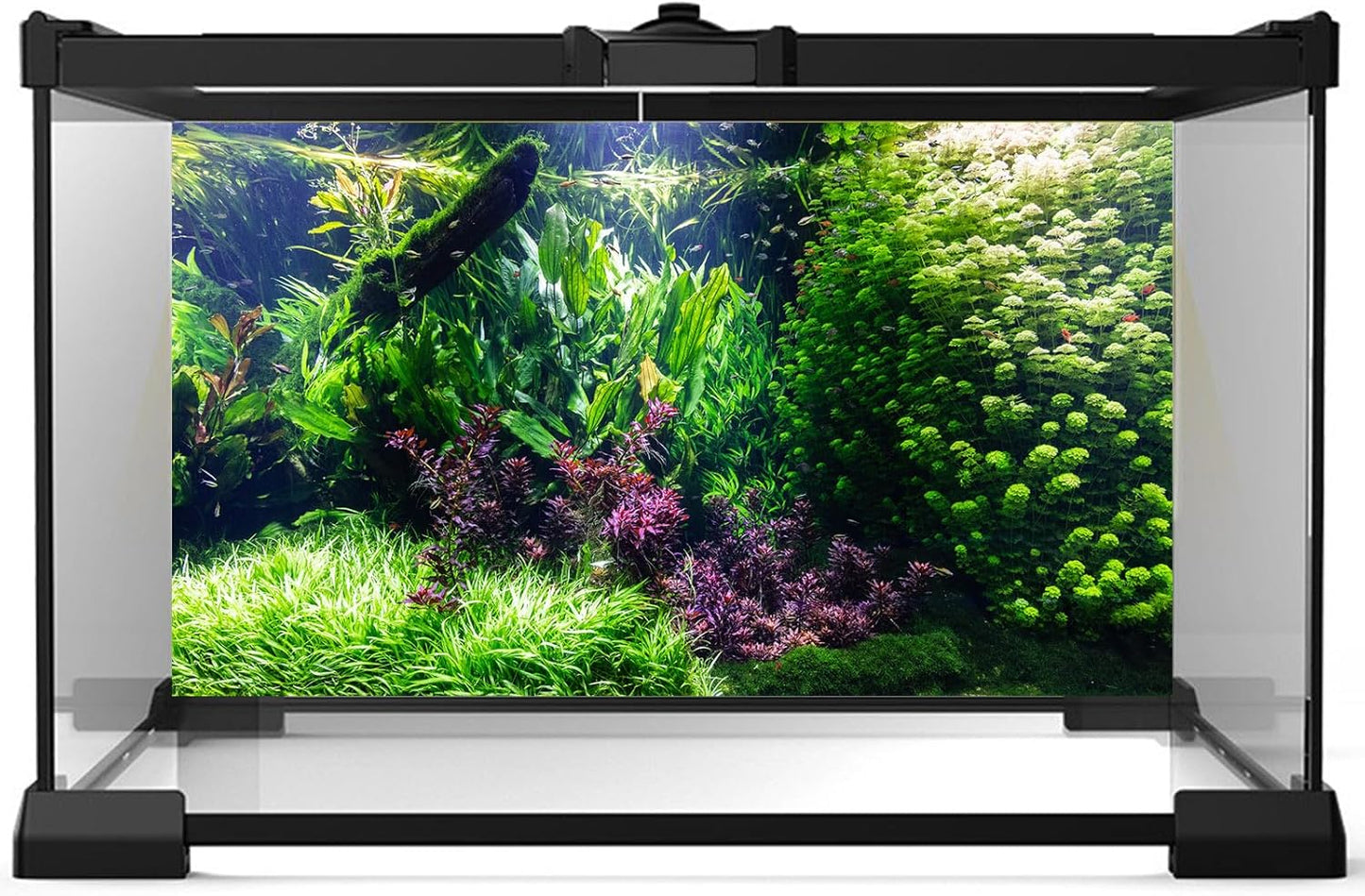 Aquarium Background Various Underwater Grass Plants Aquarium Backdrop Vivid and Fresh Green Aquatic Plants Stone River Bed and Dead Wood Tank Background Vinyl 48x18in