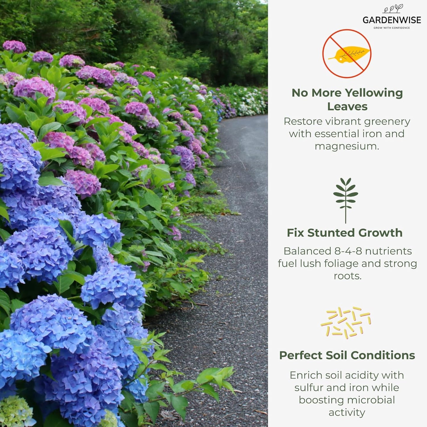 Slow Release Hydrangea Fertilizer with Iron & Sulfur – Indoor & Outdoor Soil Acidifier for Miracle Growth (4 qt)