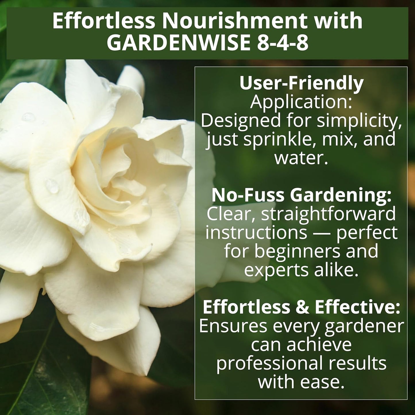 8-4-8 Acidic Fertilizer for Azaleas, Camellias (Camelia), Hydrangeas, Blueberries, Gardenias, Magnolia Trees, Evergreens, and Rhododendrons - Ideal Iron-Rich Plant Food (3 QUARTS)