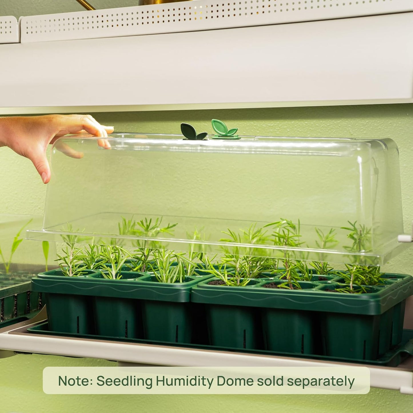 Vego garden Giga Seedling Trays - 4 Pack, 9-Cell UV-Resistant Reusable Starter Trays for Greenhouse/Garden (No Lids)