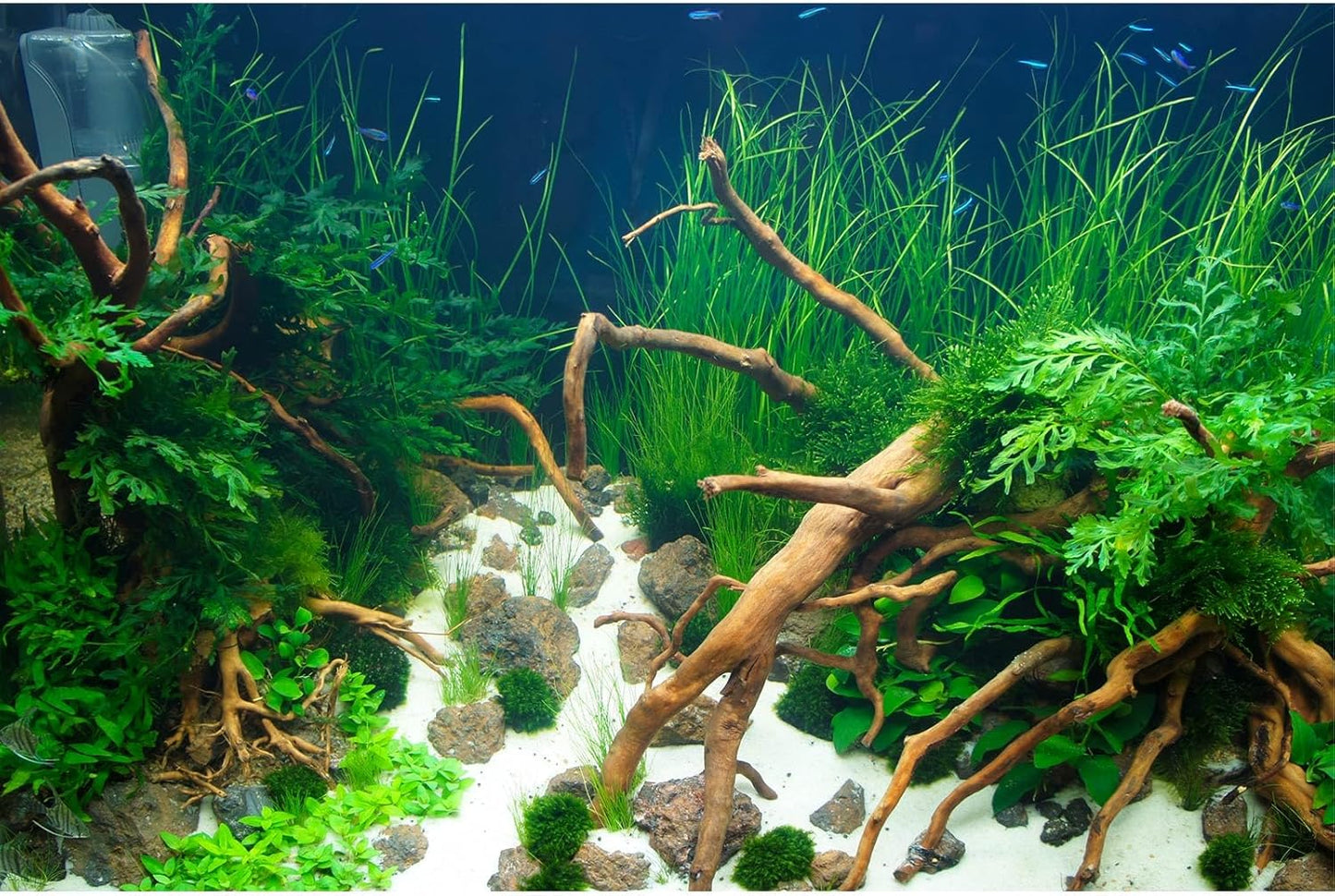 Aquarium Background Various Underwater Grass Plants Aquarium Backdrop Vivid and Fresh Green Aquatic Plants Stone River Bed and Dead Wood Yellow Stone Fish Tank Background 48x18in