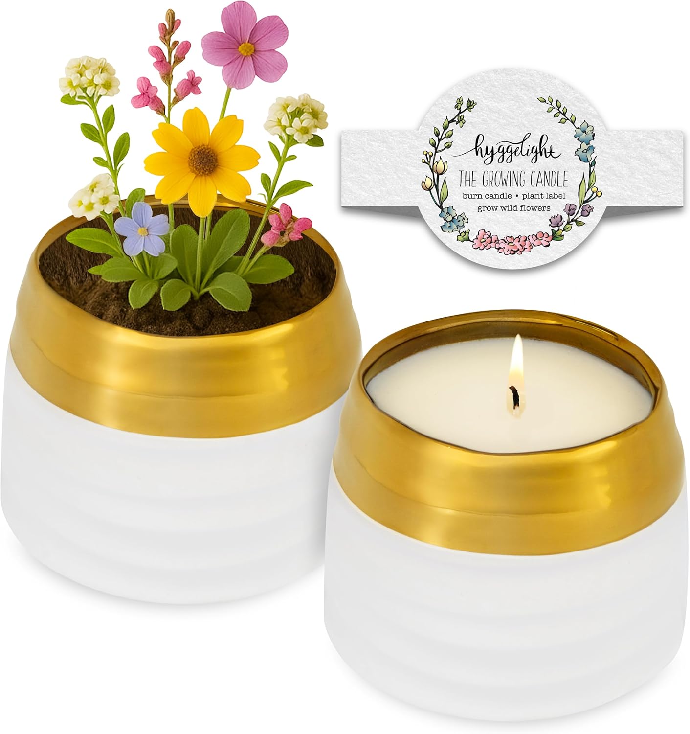 The Growing Candle, Lemongrass Scented, 10oz Ceramic Pot, Single Wick Aromatherapy Candles, 100% Soy for Women and Men, Clara