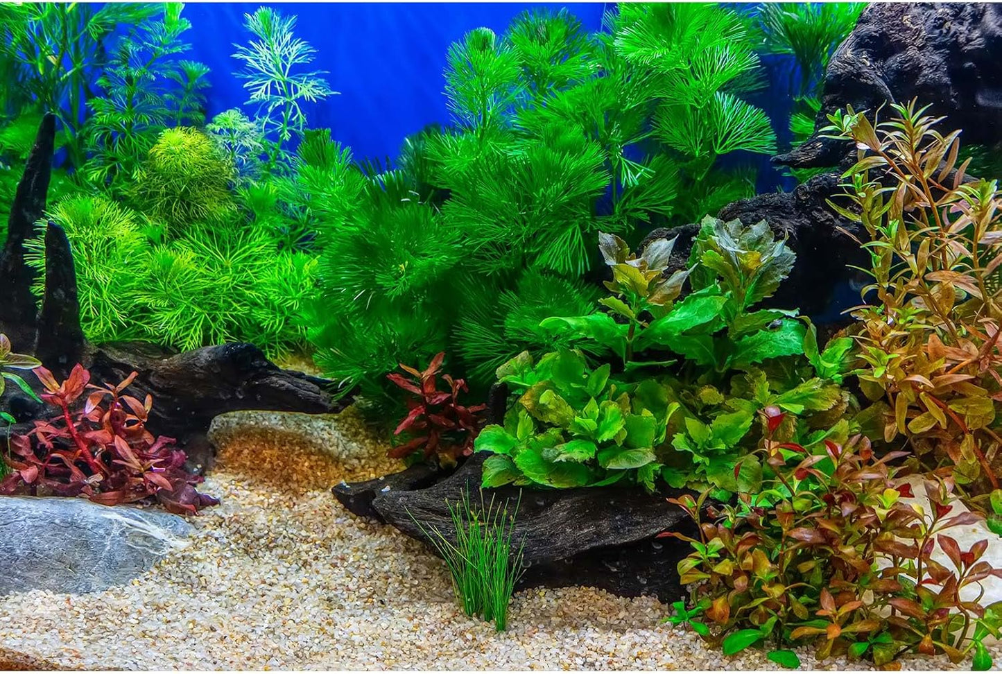 Aquarium Background Underwater Grass Leaves with Pebble Fish Tank Background Vivid Green Aquatic Plant Terrarium Background Stone River Bed Dead Wood Tank Background 36x18in