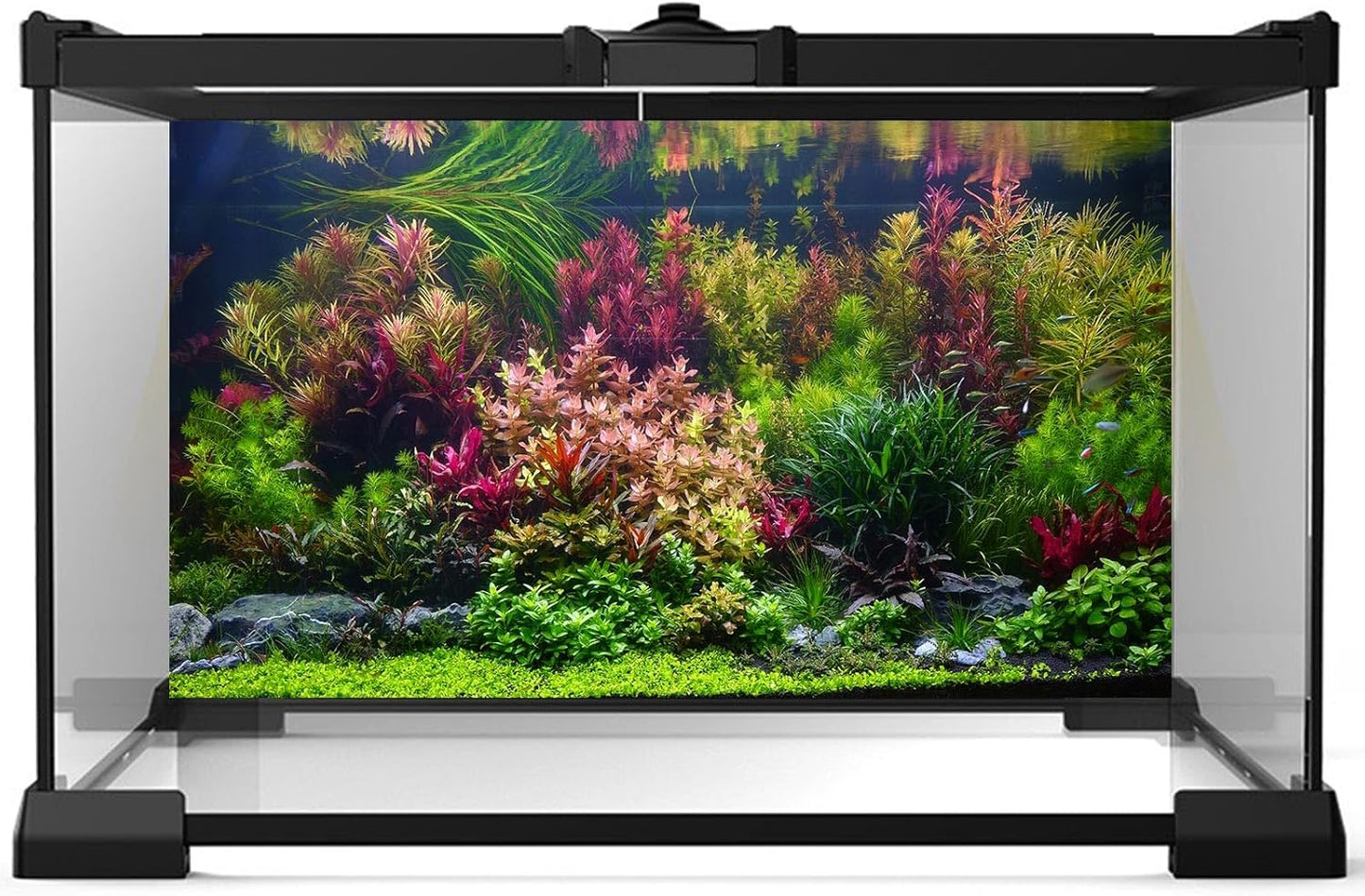 Aquarium Background Various Vivid Fresh Underwater Aquatic Plant Fish Tank Aquarium Backdrop Stone River Bed and Lake Fish Terrarium Background Decor Vinyl 48x24in