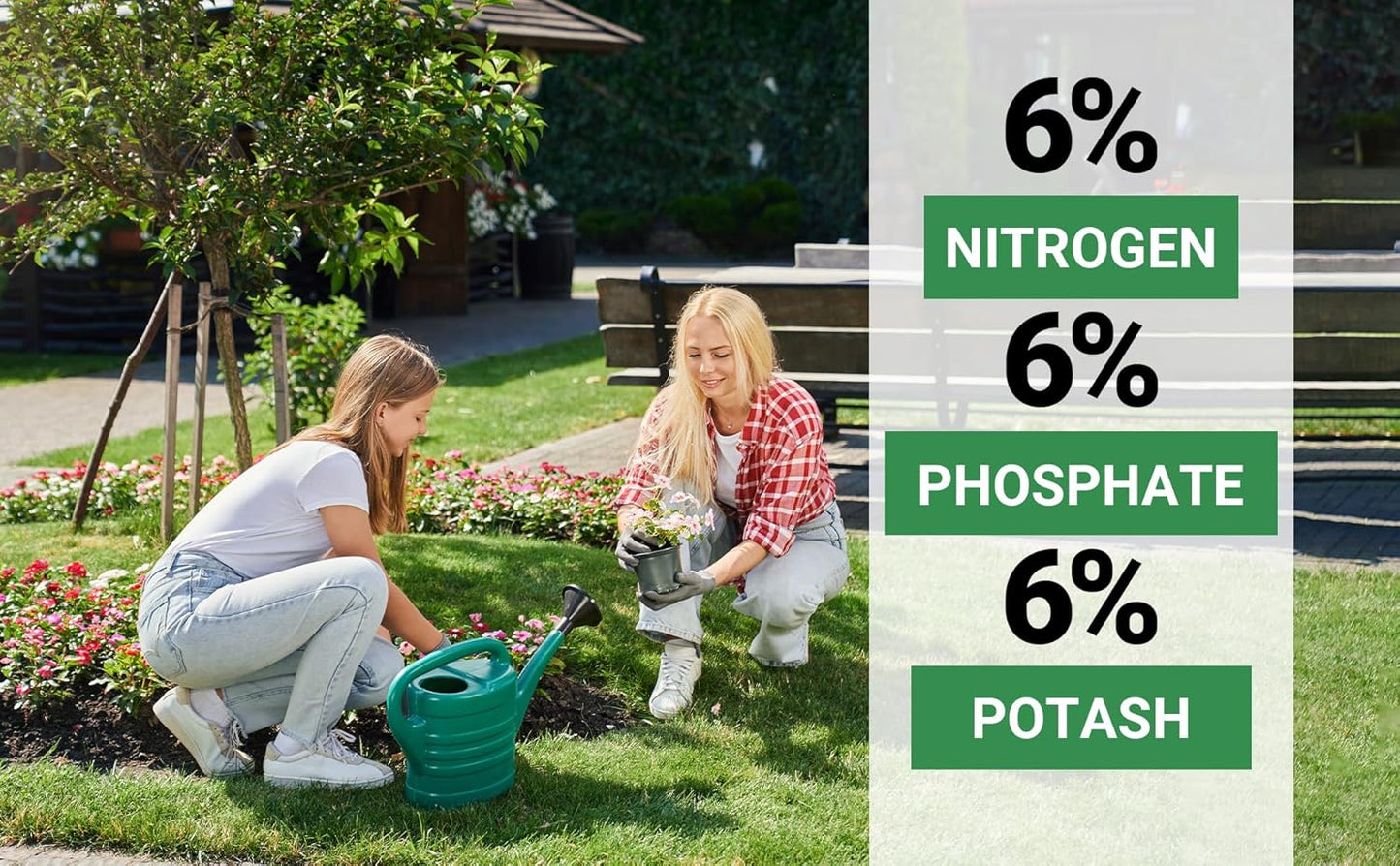 6-6-6 All-Purpose Professional Plant Food Fertilizer; Ideal for Winter Care & Spring Feeding, Perfect Balanced NPK for Indoor and Outdoor Plants (10 QUARTS)