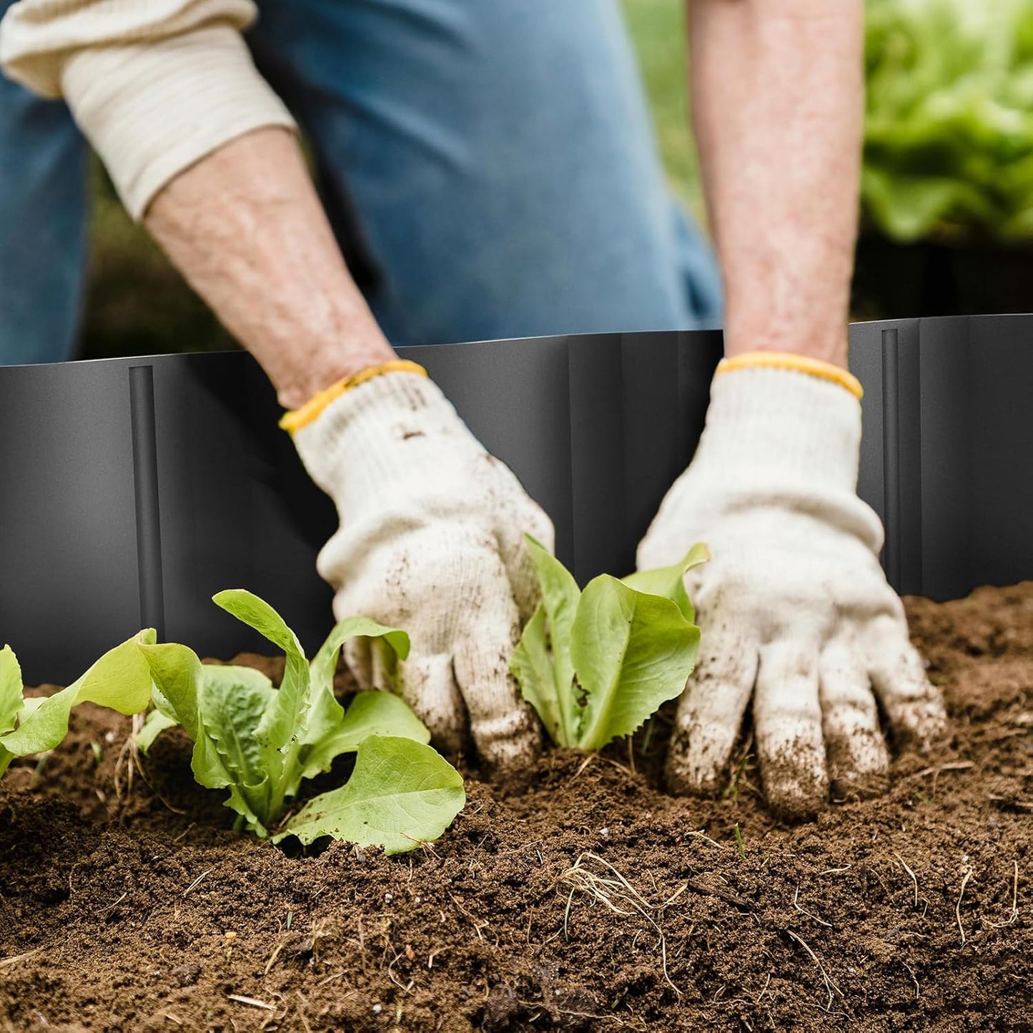Mars Villa Landscape Edging 20FT, Interlocking Landscape Edging 5.9in No Dig Garden Edging Border for Landscaping, Flexible Flower Bed Lawn Edging for Outdoor Pathway, with Stakes,(Black,16PCS)