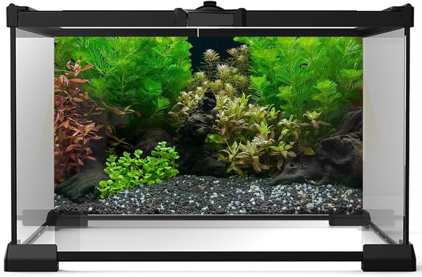 Aquarium Background Exquisite Underwater Grass Leaves with Pebbles Aquarium Backdrop Vivid Green Aquatic Plant Stone with Dead Woods and Fresh Leaves Fish Tank Wallpaper 72x18in