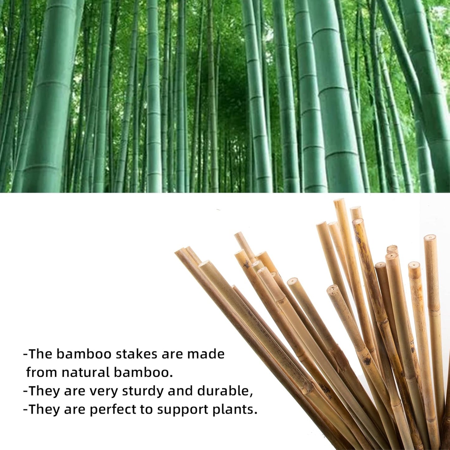 50Pcs Garden Stakes, 0.32”/ 2Feet Bamboo Sticks，Natural Plant Stakes for Indoor and Outdoor Plants，Poles for Tomatoes, Beans, Potted Plants…