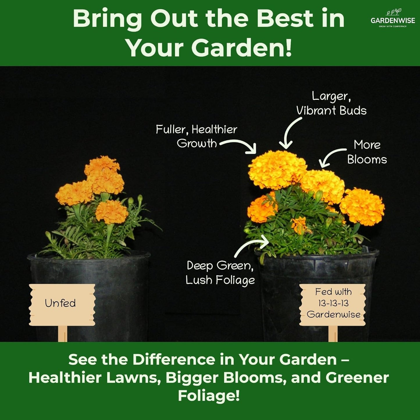 13-13-13 Slow Release Granular Fertilizer – All Purpose Plant Food 13 13 13 for Outdoor Grass, Vegetables, Roses, Flowers, Shrubs, Trees. Lawns, Gardens, Potted Plants (1/2 Quart)