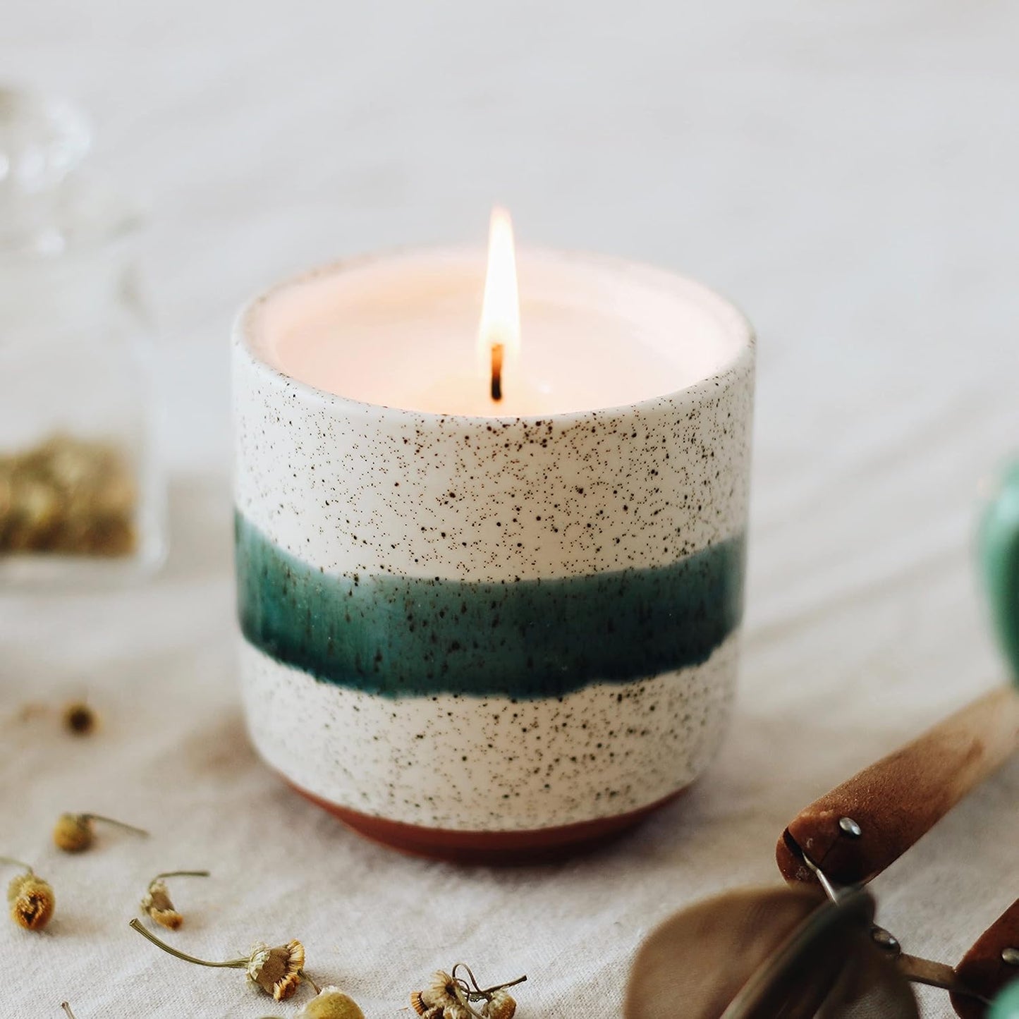 The Growing Candle, Lemongrass Scented, 8.5oz Ceramic Pot, Single Wick Aromatherapy Candles, 100% Soy for Women and Men, Edith