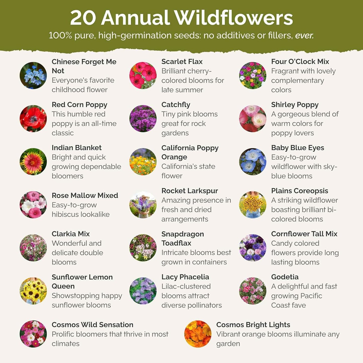 Eden Brothers All Annual Wildflower Mixed Seeds for Planting, 50 lb, 24,000,000+ Seeds with Sunflower, Indian Blanket | Attracts Pollinators, Plant in Spring or Fall, Zones 3, 4, 5, 6, 7, 8, 9, 10