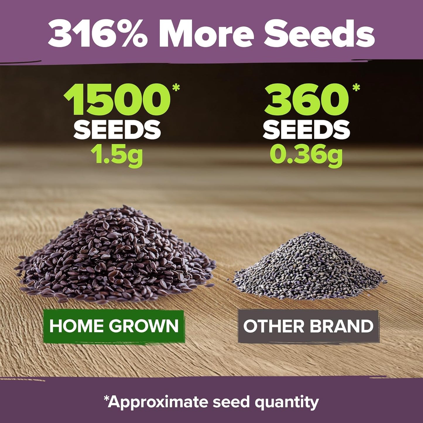 HOME GROWN 𝗨𝗦𝗔 𝗣𝗥𝗘𝗠𝗜𝗨𝗠 English Lavender Seeds 1,500+ 𝗡𝗢𝗡-𝗚𝗠𝗢 Wildflower Seed for Planting Indoor/Outdoor, High Germination, Plant Flower Seeds (Lavandula antustifolia)