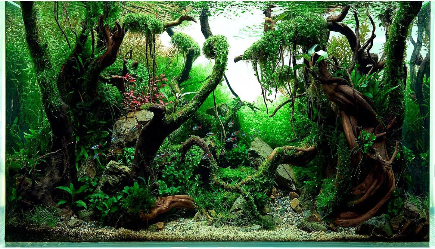 Aquarium Background Underwater Pebble Grass Leaves Aquarium Backdrop Vivid Fresh Green Aquatic Plant Stone River Bed Aquarium Backdrop Deadwood Purple Leaves Tank Background Vinyl 30x18in