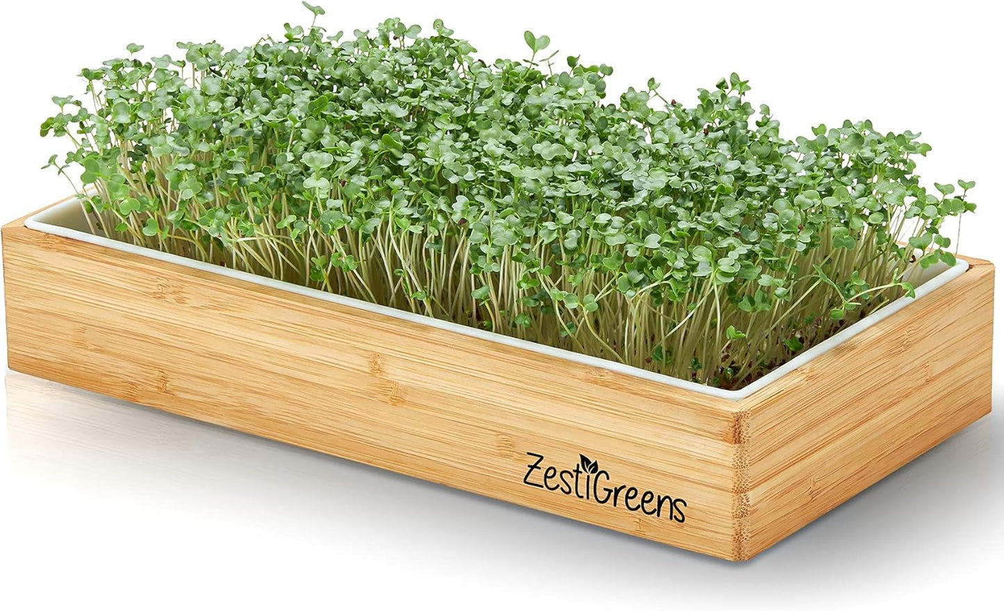 Microgreens Refill for Zestigreens Microgreens Growing Kit. Broccoli, Mixed Salad, Chia & Red Amaranth Organic Microgreen Seeds & 4 mats.