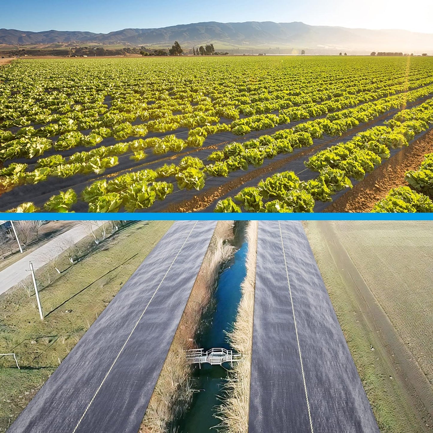 4ft x50ft Black Weed Barrier Landscape Premium Fabric-Heavy Duty Woven Ground Cloth with Superior Permeability Weed Control Convenient Design