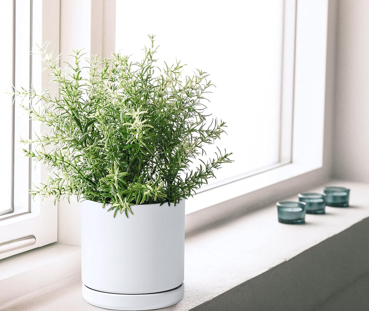 D'vine Dev 6 Inch Ceramic Planter Pot with Drainage Hole and Saucer, Indoor Cylinder Round Flower Pot, White, 94-O-C-1