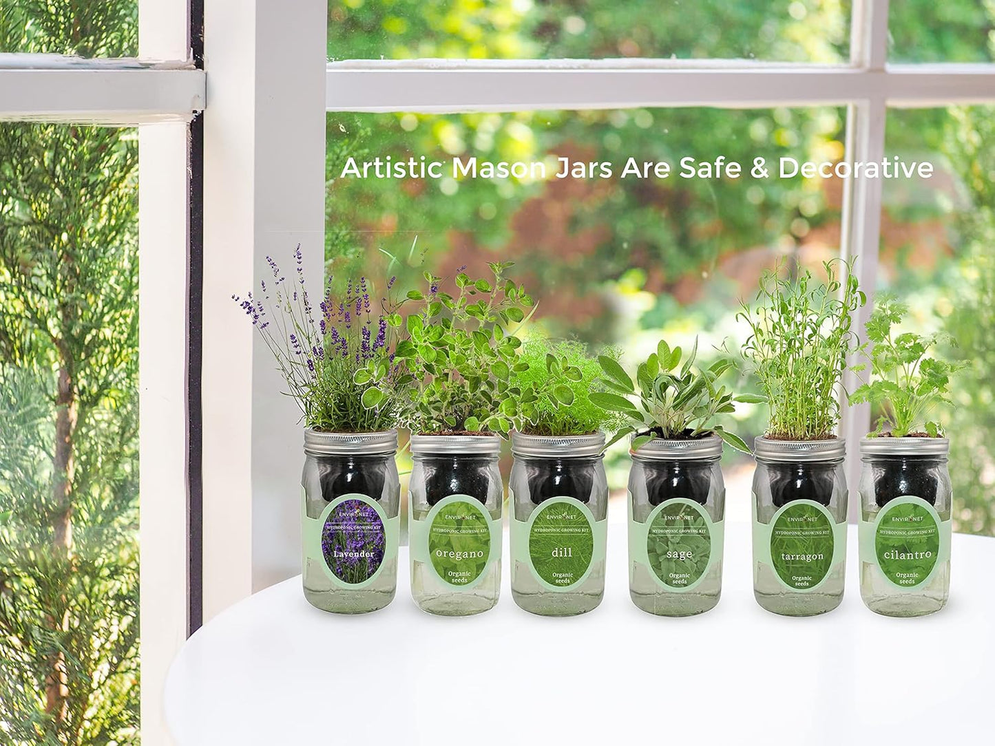 Hydroponic Herb Growing Kit, Self-Watering Mason Jar Herb Garden Starter Kit Indoor, Windowsill Herb Garden, Grow Your Own Herbs from Organic Seeds (Marjoram)