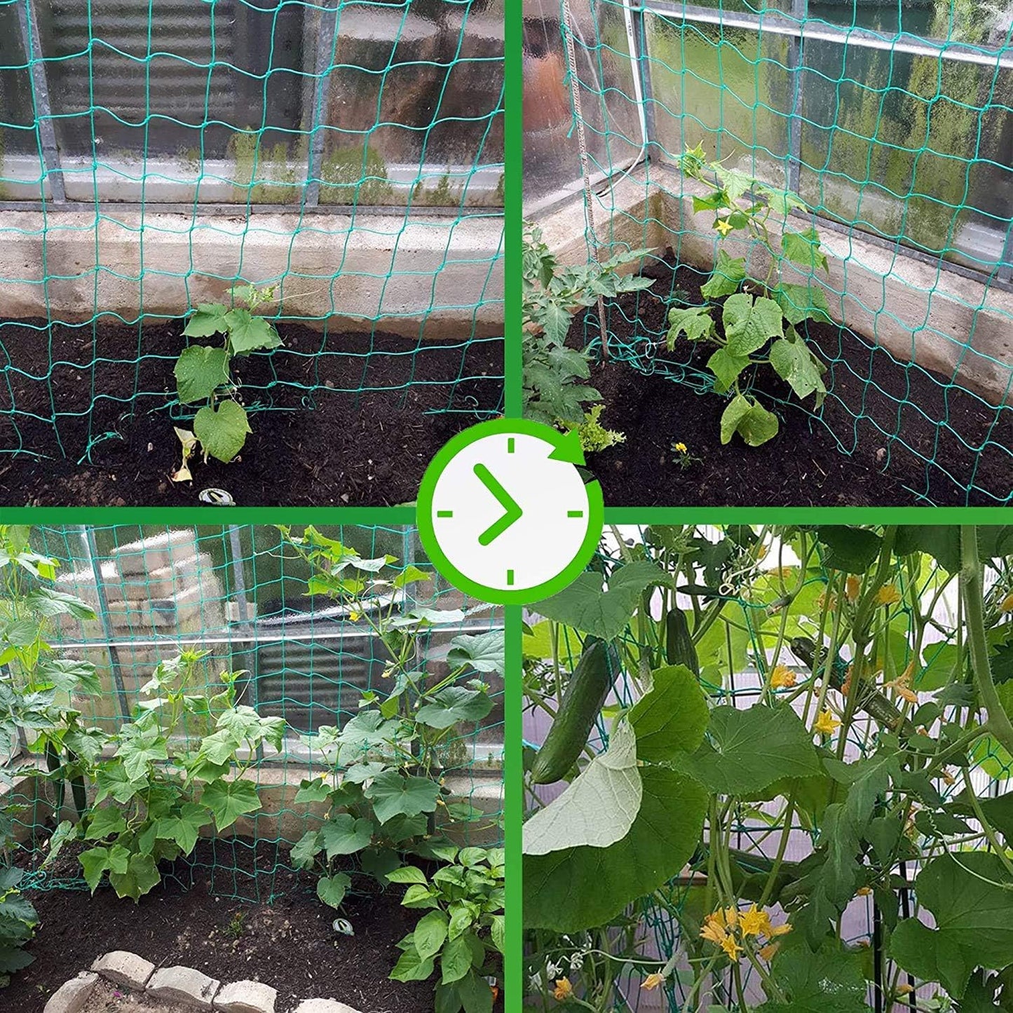Trellis Netting for Climbing Plants - Heavy Duty Garden Trellis Netting for Cucumber, Vine, Fruits & Vegetables Tomato Plants Trellis Net, Climbing Vining Plants (1-Pack 8.2' x 6.6'Ft)