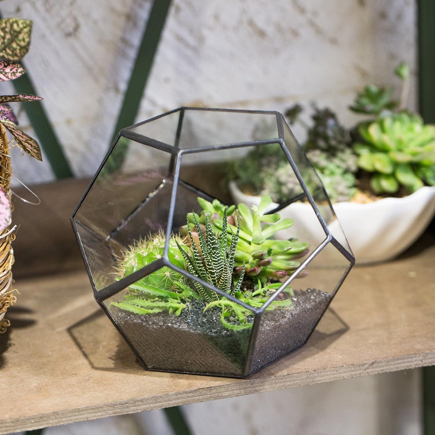 NCYP Small Open Terrarium Planter - 6.89" x 6.89" x 5.9" Pentagon Geometric Glass Container Pot for Succulents, Air Plants - Home Garden Tabletop Miniature Decor, Black (No Plants)