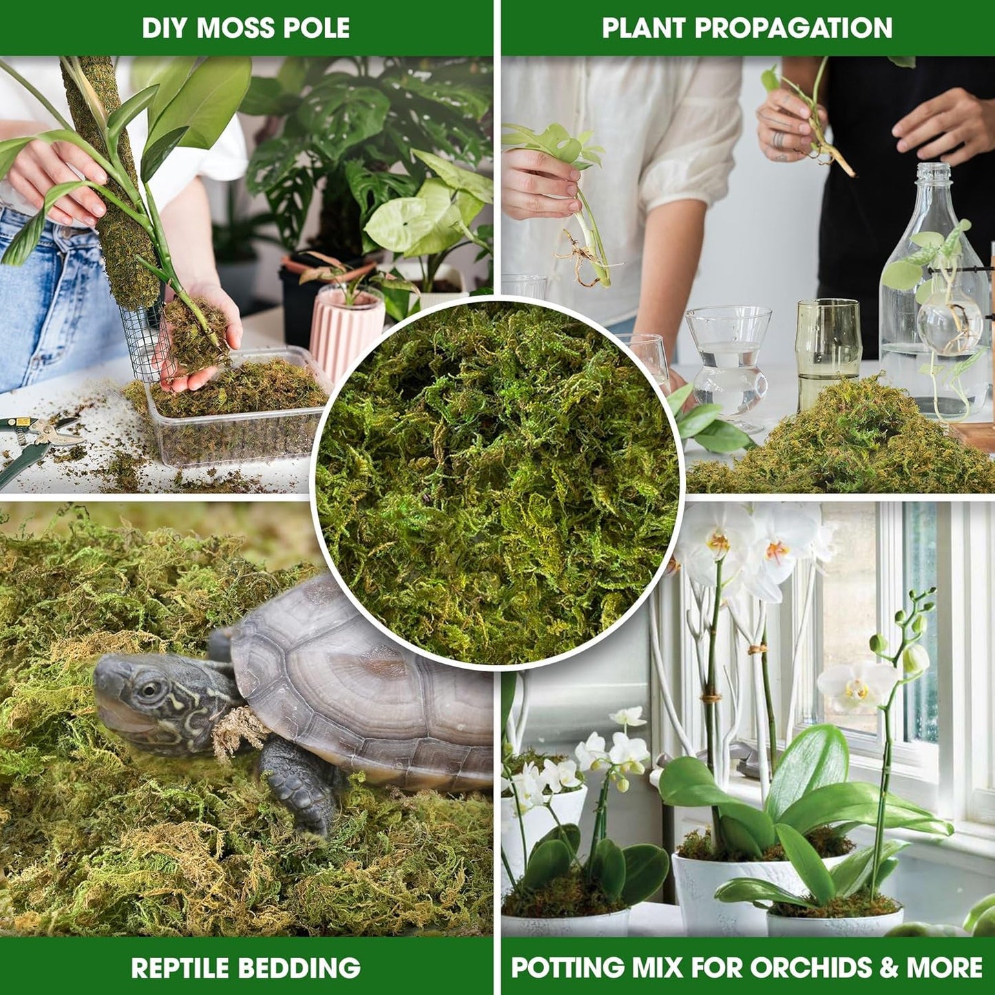 DUSPRO Big Bag Dried Forest Moss for Plant Propagation Sphagnum Moss Bulk for Orchid Repotting Mix Organic Soil Medium Bale Premium Hand Selected (5 LBS)